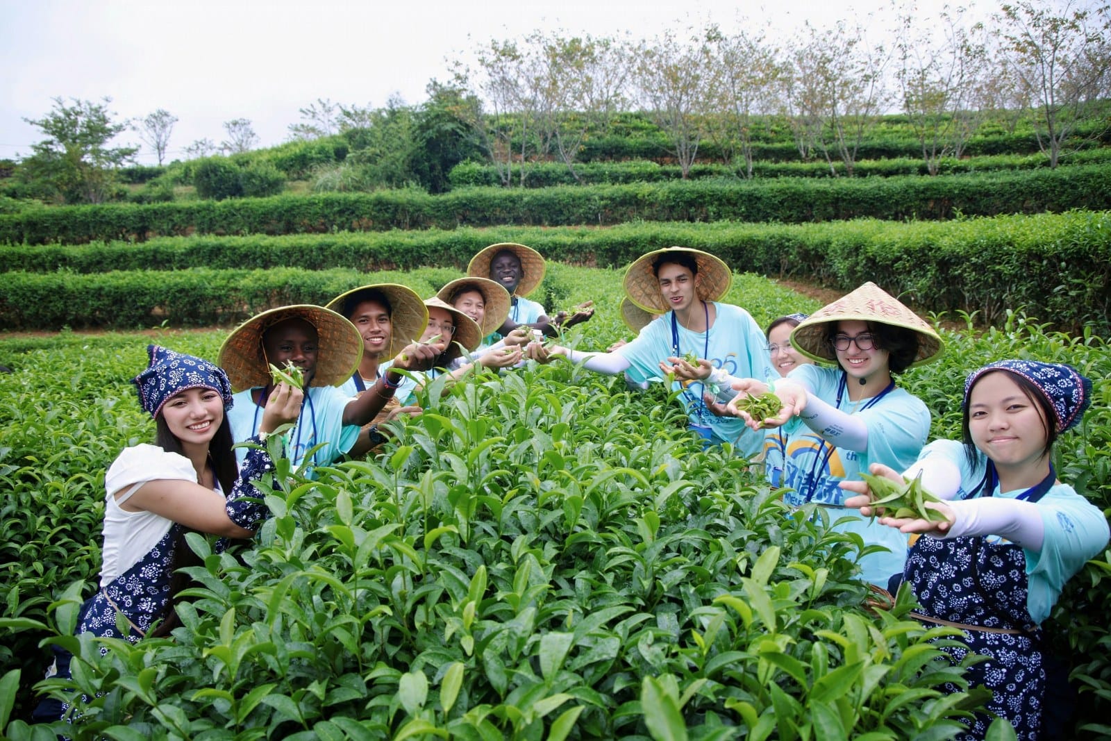 Şeyda Temel and Other Contestants Visit an Ecological Tea Garden in Fuzhou